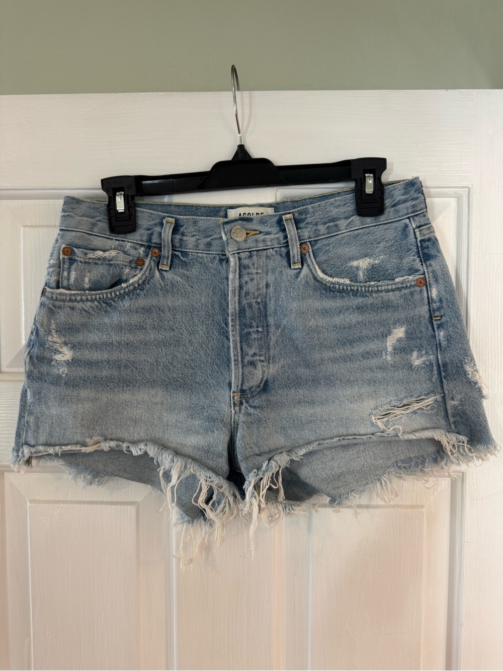 Agolde Parker Denim Shorts